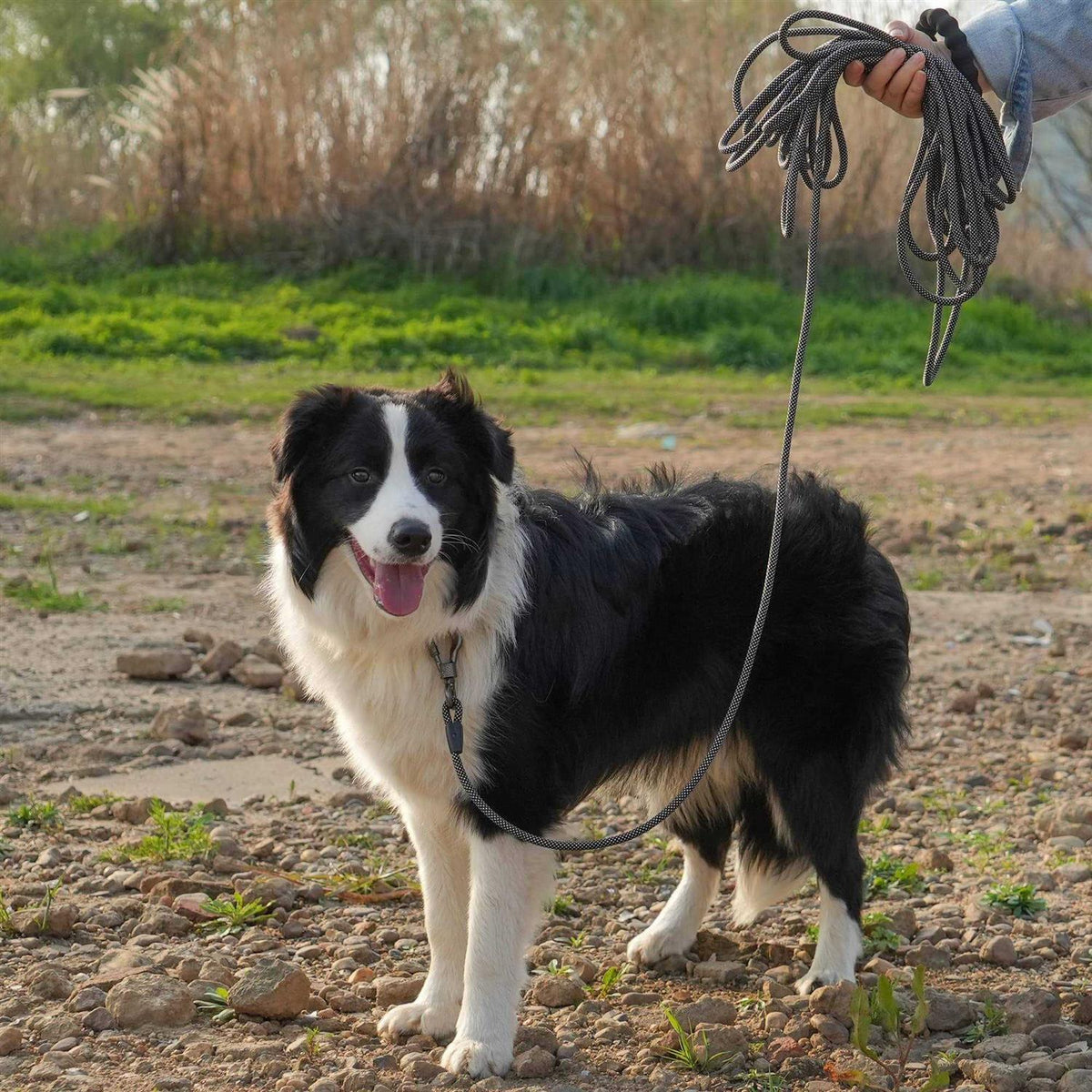 Rope Dog Leash with Swivel Lockable Hook I8369