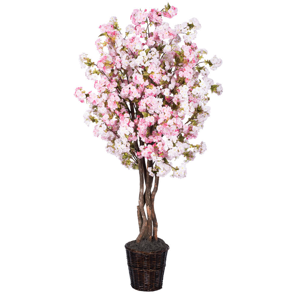 Pink Cherry Blossom Deluxe Q641899