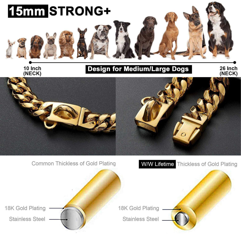 Gold Dog Chain Collar with Secure Buckle K53775