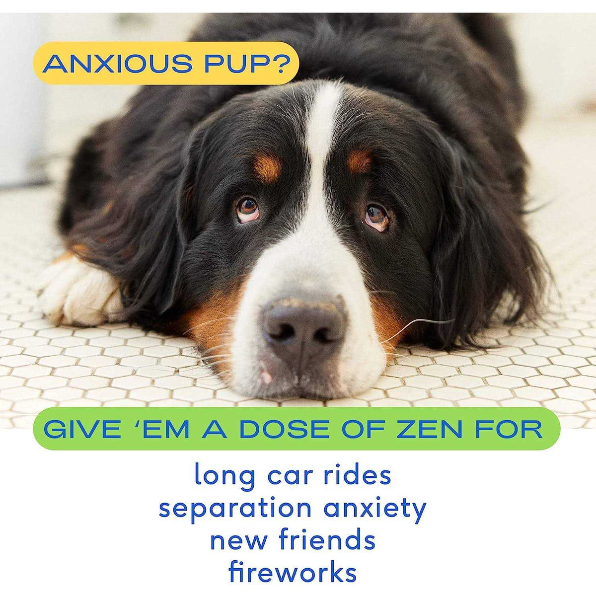Calming Chews for Dogs W97125