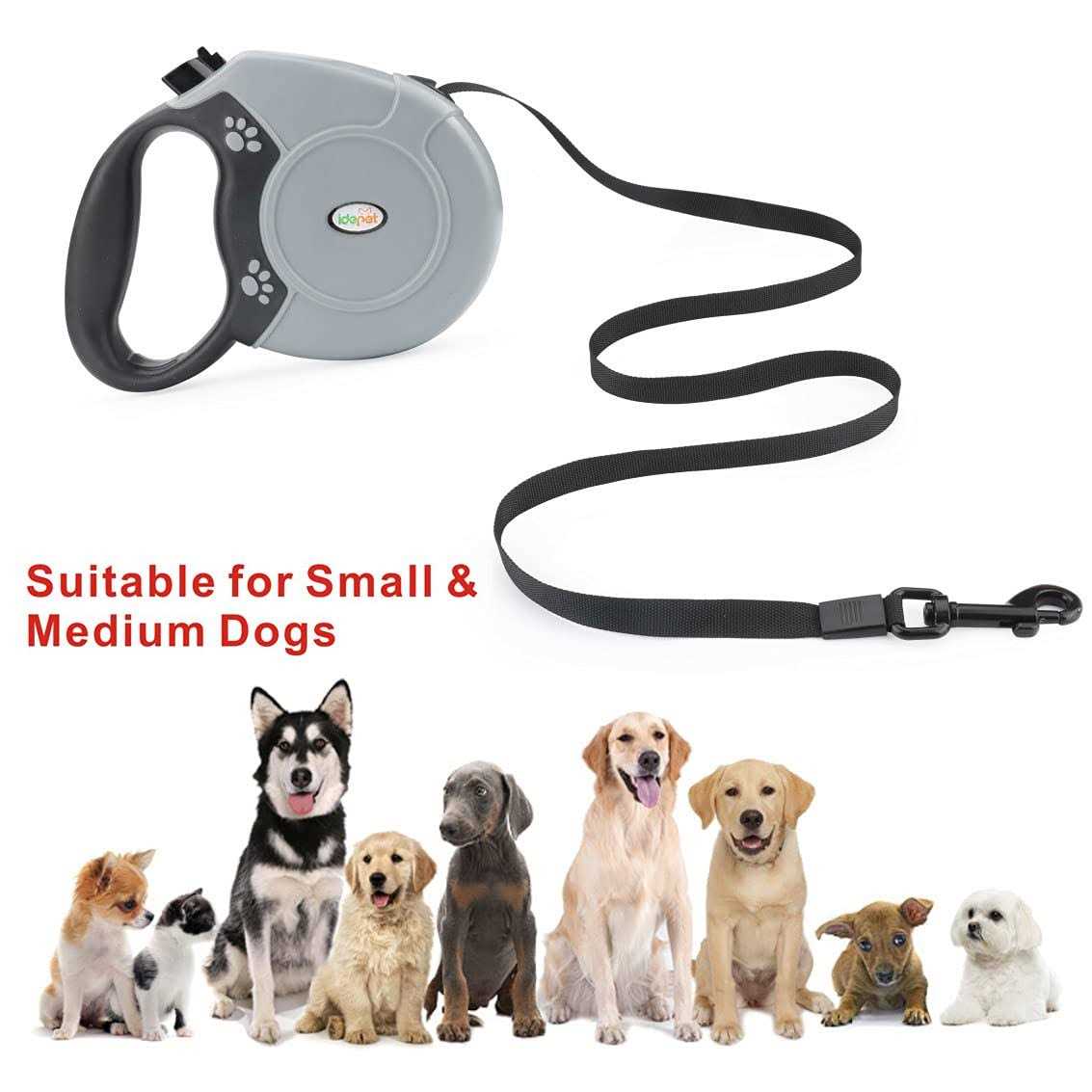 Heavy Duty Retractable Dog Leash 16ft F681777