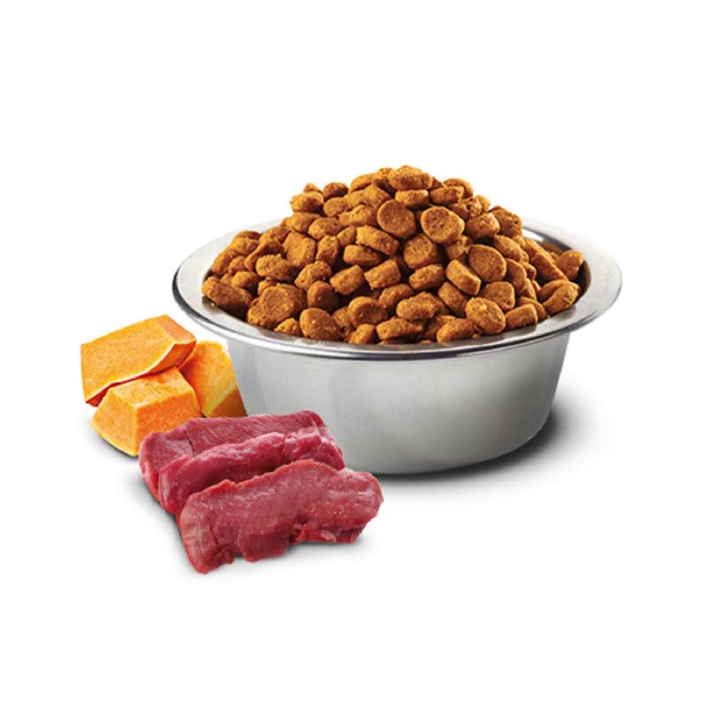 Pumpkin Venison & Apple Dry Cat Food H40460