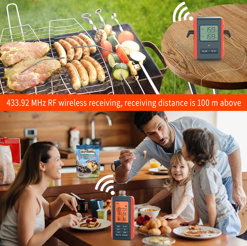 Wireless Digital Meat Thermometer with 2 Probes C981