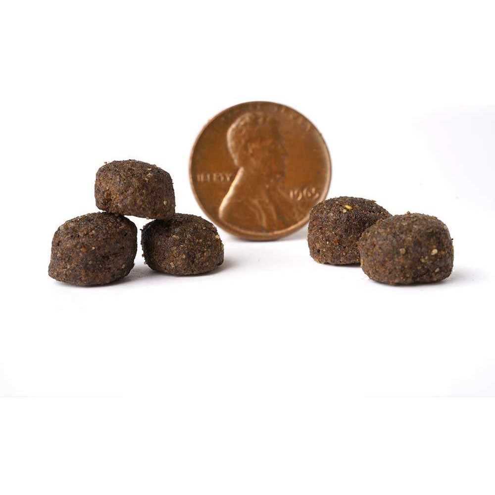 Grain Free Dry Dog Food O492