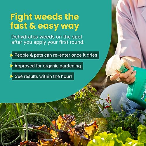 32 oz 2 Pack Organic Weed Killer Spray T864