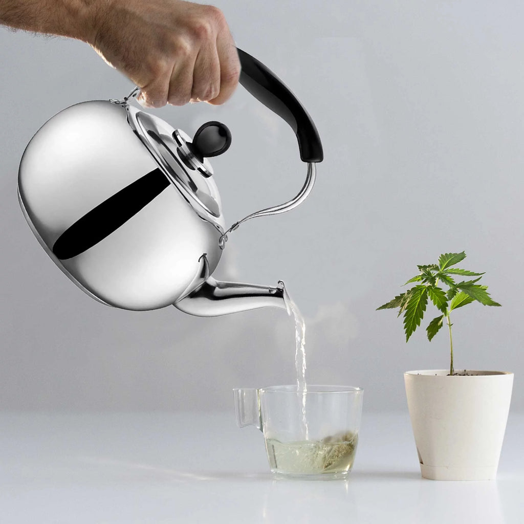 Stainless Steel 2 Liter Tea Kettle O8384