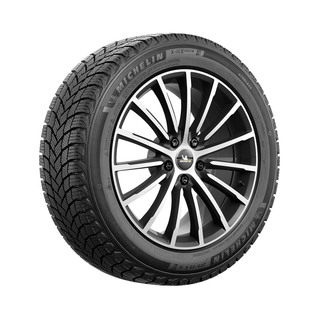 Winter Passenger Tire D261213