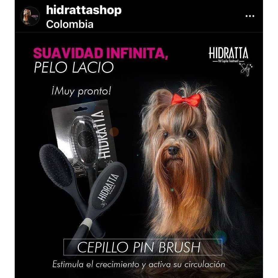 Pet Hairbrush D538579