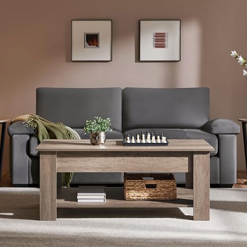 Lift Top Coffee Table with Hidden Compartment and Storage Shelf W175523