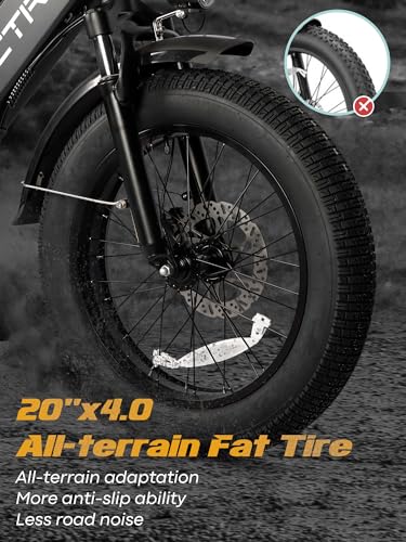 20.8Ah Removable Battery 750W Motor 7 Speed 20 x 4.0 Fat Tire Electric Bike Z6598