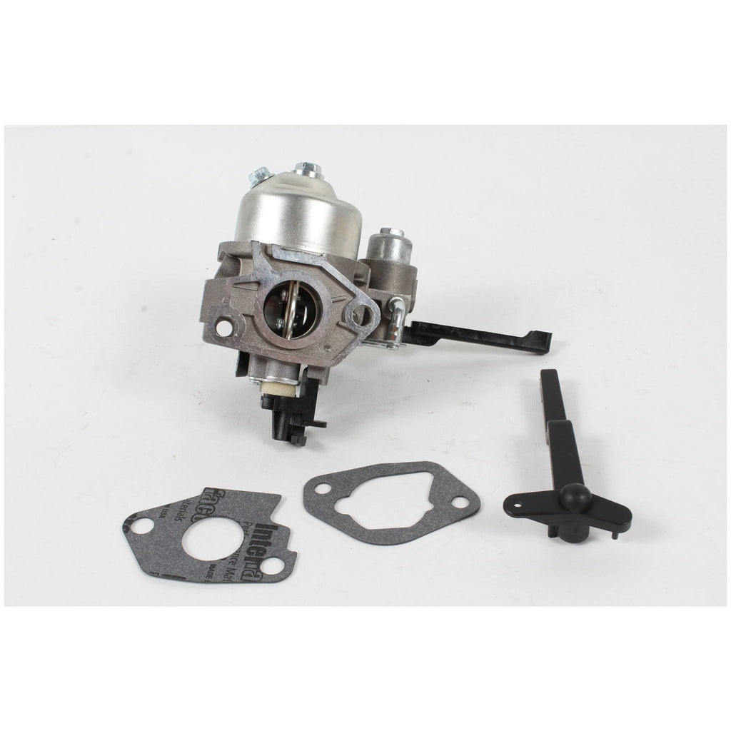 Carburetor Kit Z791