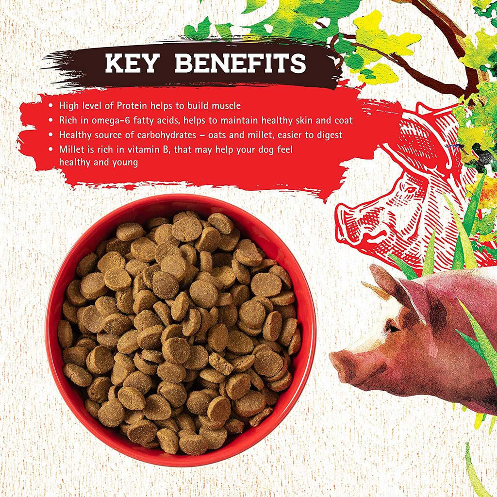 Pork Recipe Dog Food F127