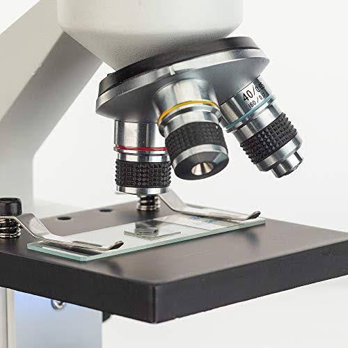 40X-1000X Compound Microscope B952430