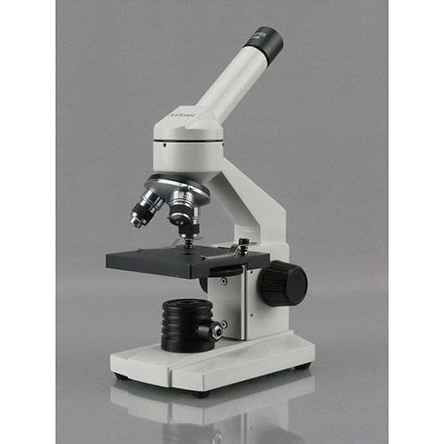40X-1000X Compound Microscope B952430