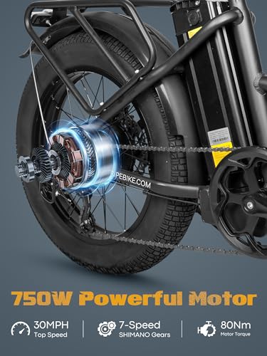 20.8Ah Removable Battery 750W Motor 7 Speed 20 x 4.0 Fat Tire Electric Bike Z6598
