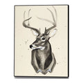 Canvas 24x32 Watercolor Deer Head 3 Framed in Multi-Color V611