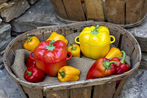 Ceramic Cocotte A2503