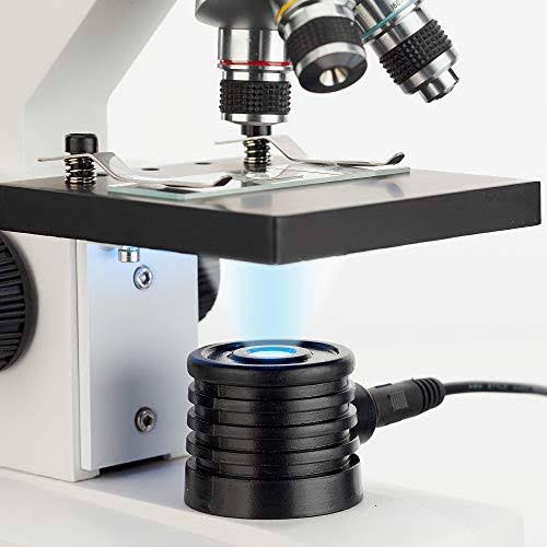40X-1000X Compound Microscope B952430