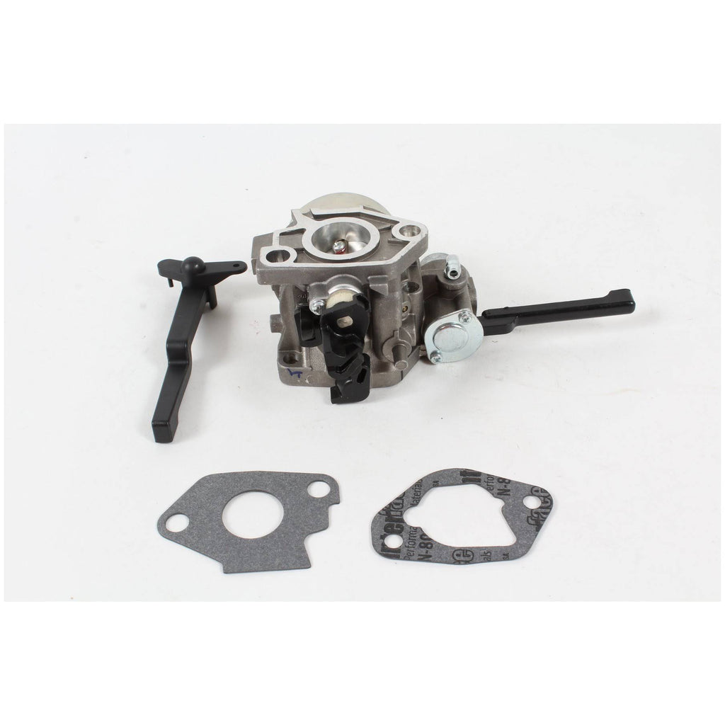 Carburetor Kit Z791