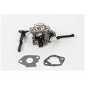Carburetor Kit Z791
