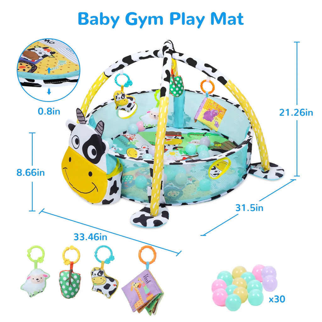 Baby Play Mat with 4 Hanging Toys 30 Balls Y430945