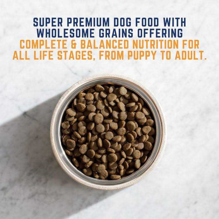 Chicken & Salmon Formula Wet Dog Food S859227