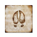 Canvas Art (24x24) R52114