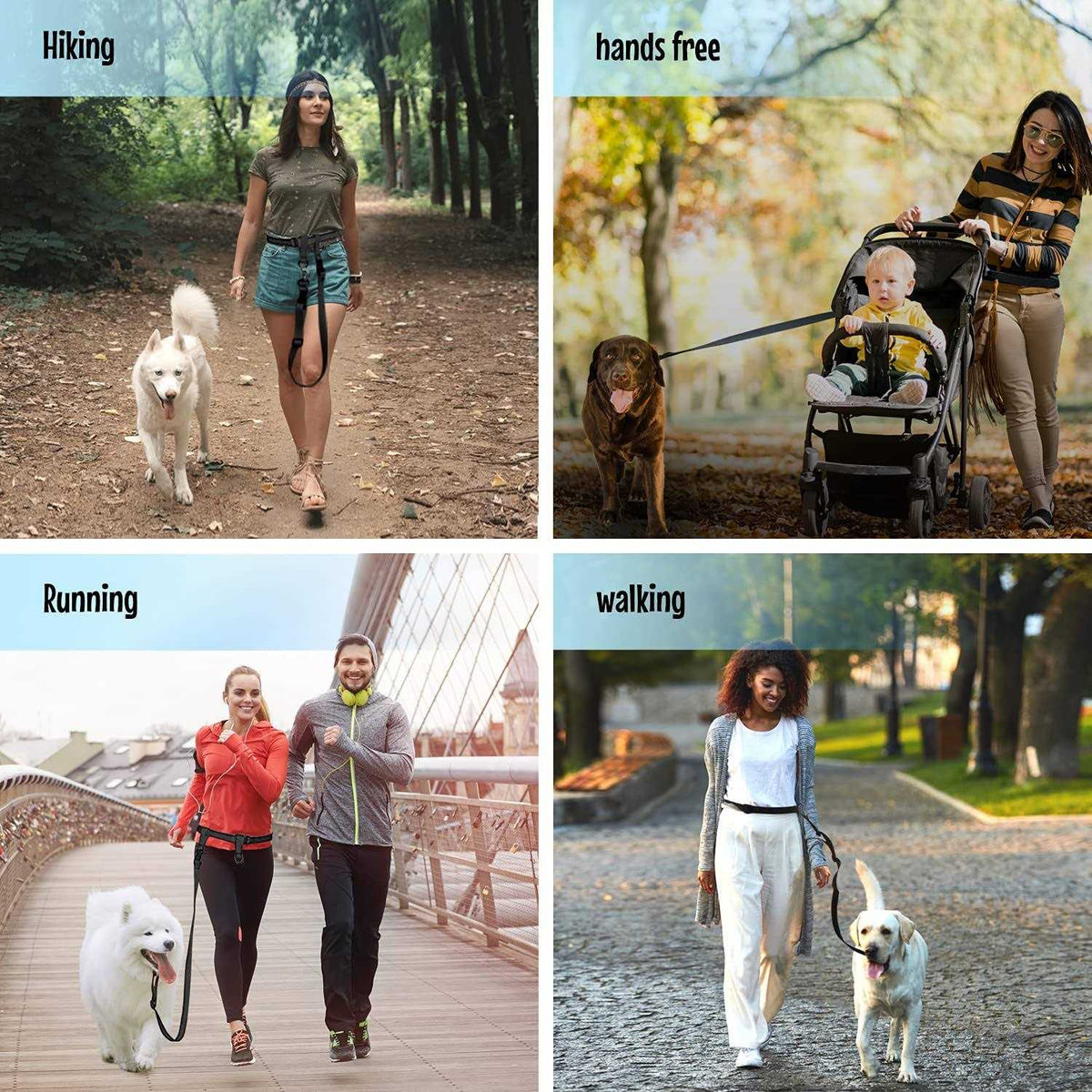 Adjustable Hands Free Dog Leash P57315