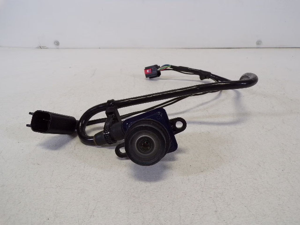 Rear View Backup Camera N801389