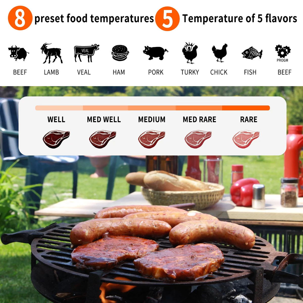 Wireless Digital Meat Thermometer with 2 Probes C981