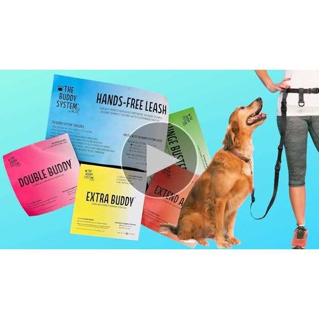 Adjustable Hands Free Dog Leash P57315