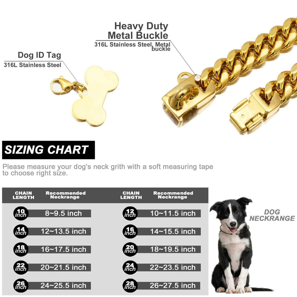 Gold Dog Chain Collar with Secure Buckle K53775