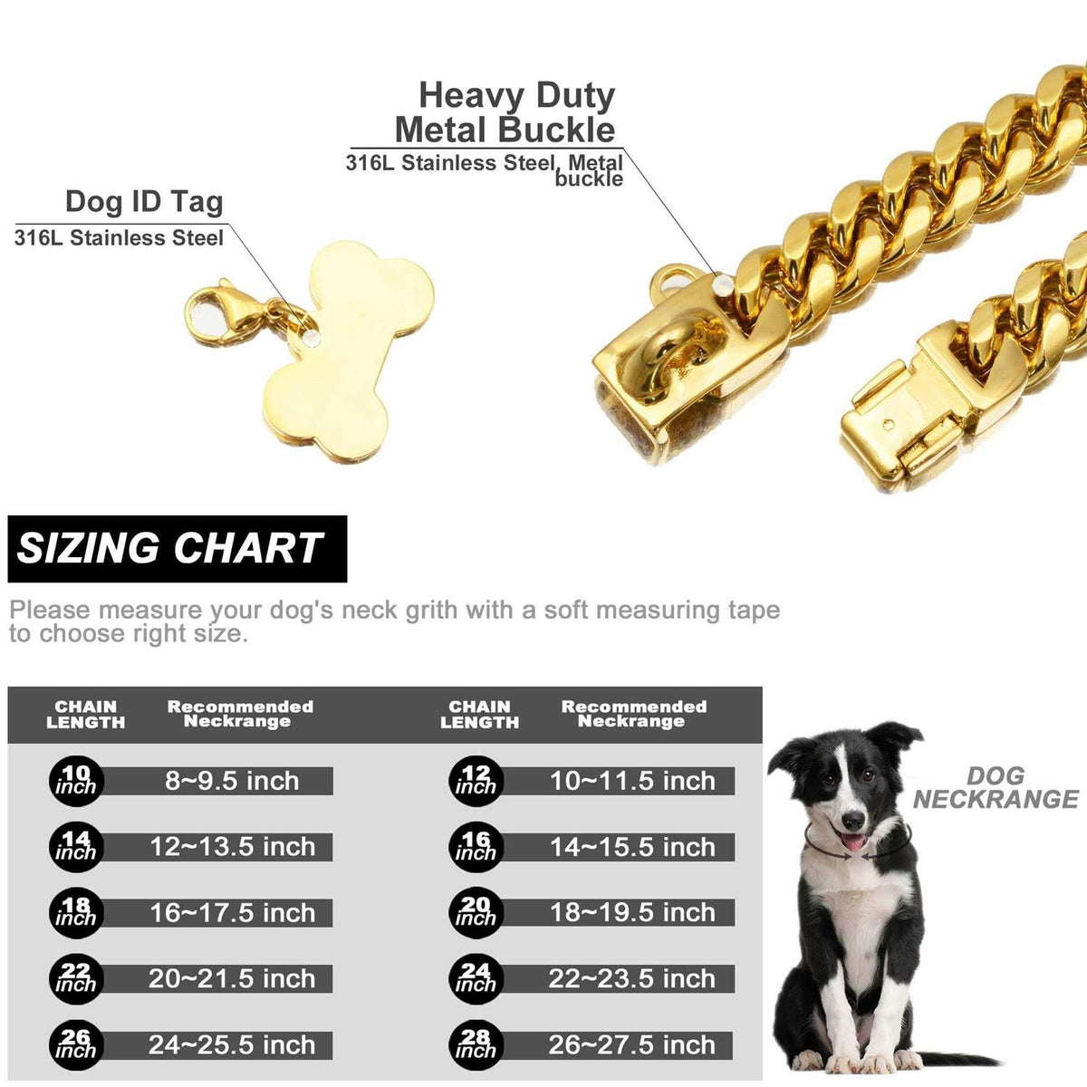 Gold Dog Chain Collar with Secure Buckle K53775
