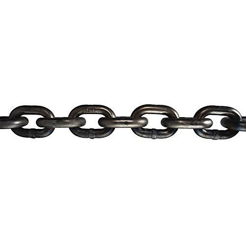 20 ft Grade 43 Straight Chain, 3900 lb Working Load Limit X876525