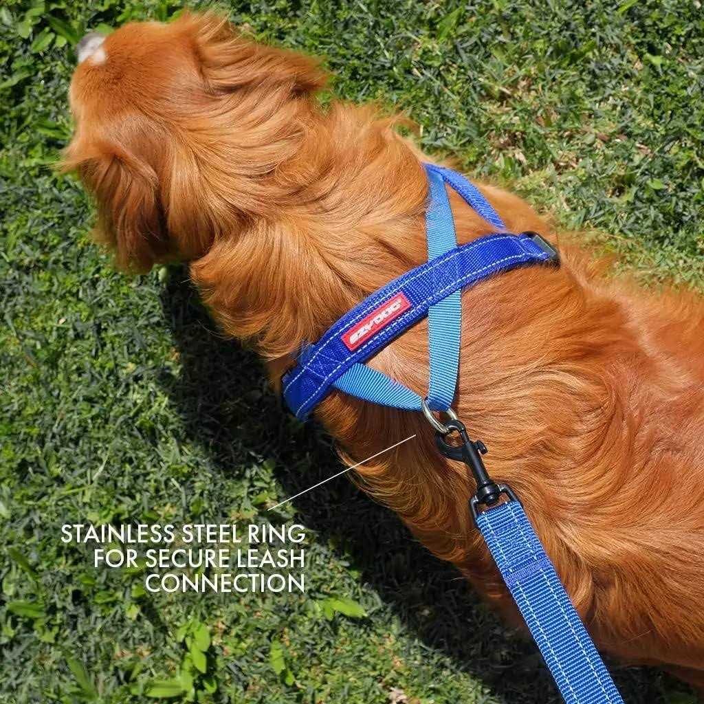 Quick Fit Dog Harness D467843