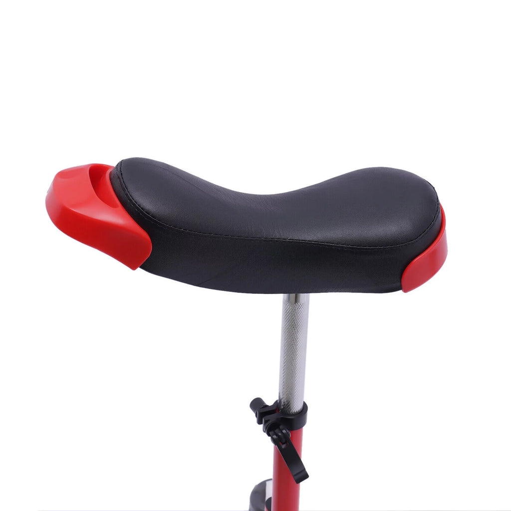 24in Adjustable Balance Training Unicycle D252119