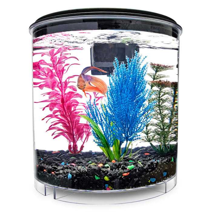 2 Gallon Tank N33594