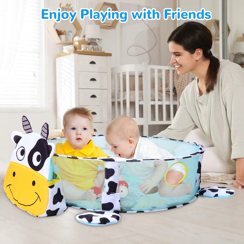 Baby Play Mat with 4 Hanging Toys 30 Balls Y430945