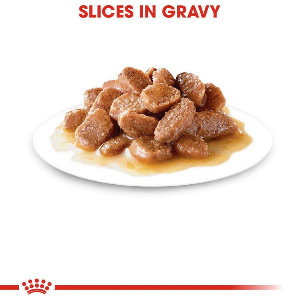 Weight Care Adult Thin Slices in Gravy Wet Cat Food L115