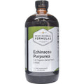 Echinacea Purpurea 16 oz G439