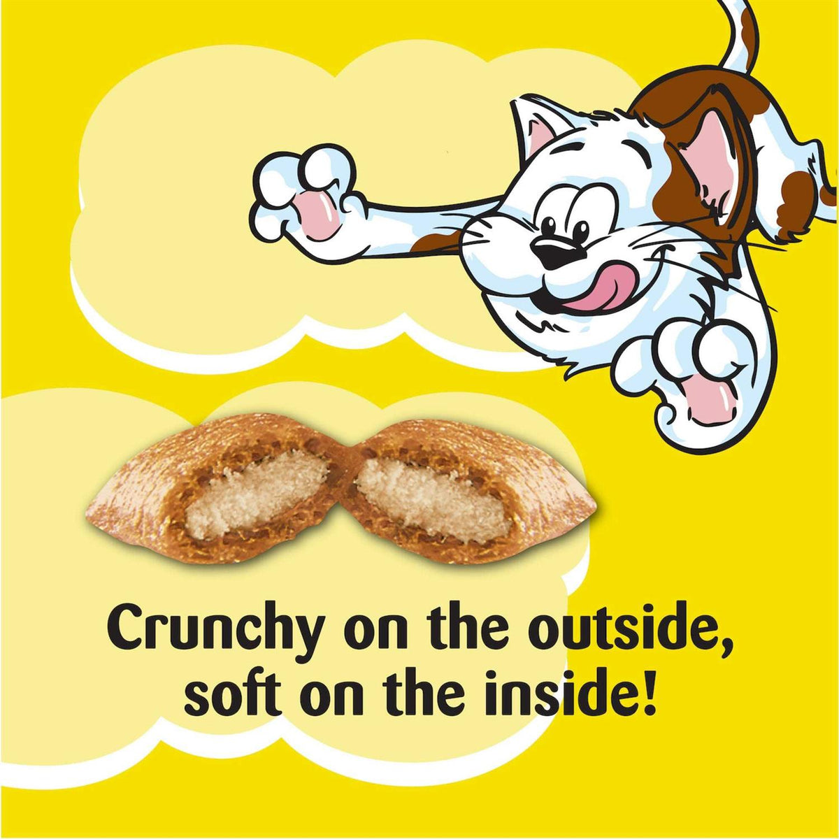 Salmon Flavor Cat Treats X2684