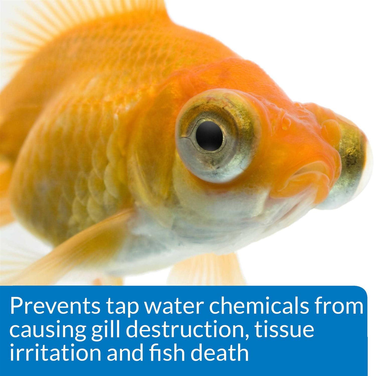 Aquarium Water Conditioner H8561