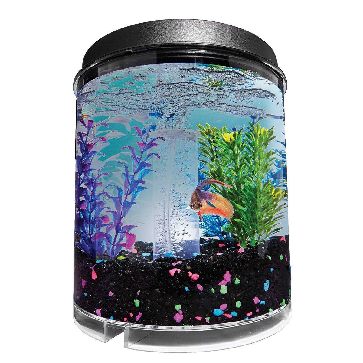 2 Gallon Tank N33594