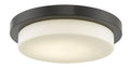 Bronze Finish LED Flush Mount C850