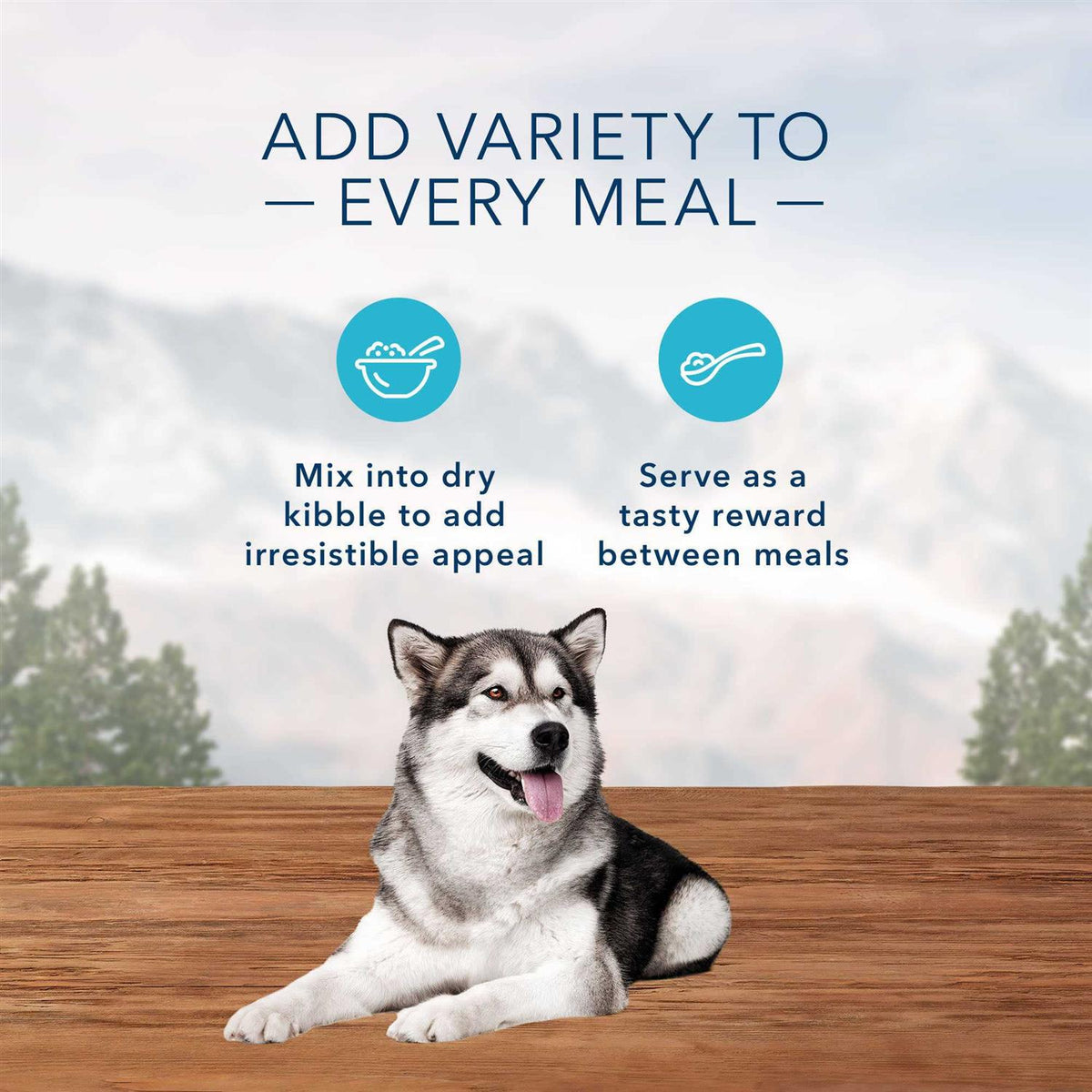 Chicken & Beef Bites Variety Pack Wet Dog Food W148603