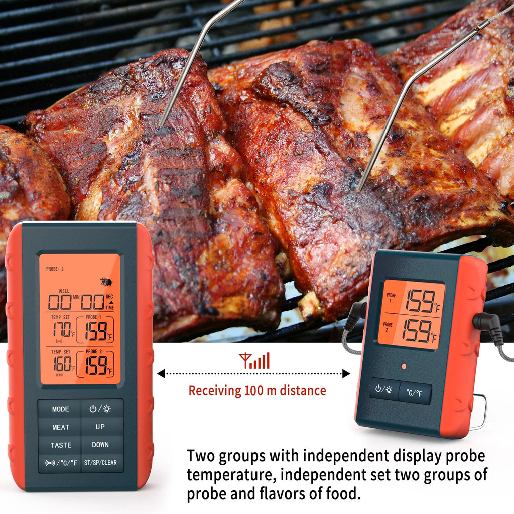 Wireless Digital Meat Thermometer with 2 Probes C981
