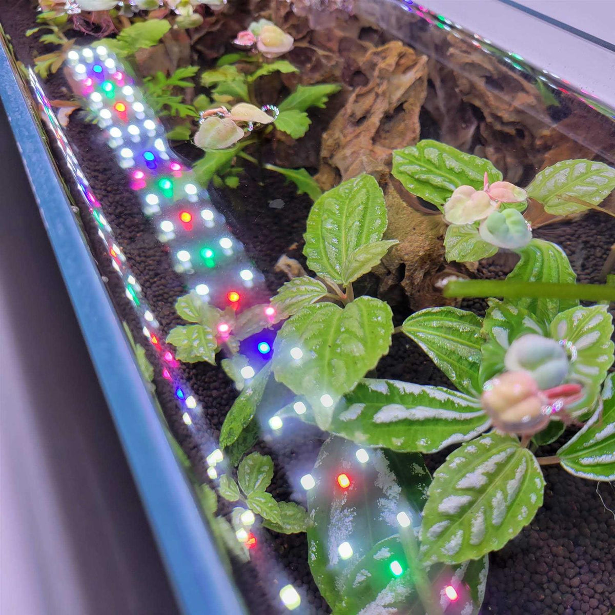 Full Spectrum LED Aquarium Light G54358