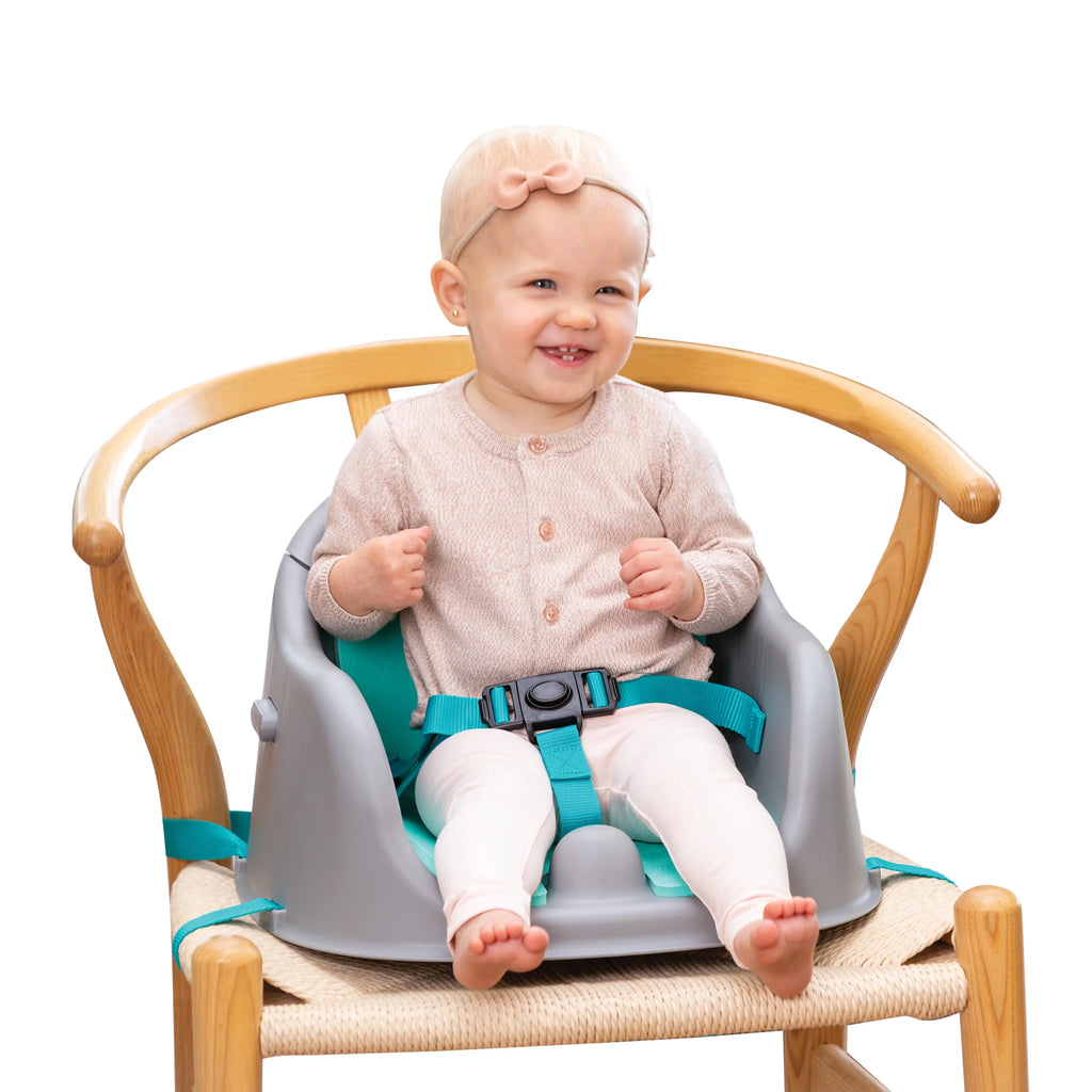 3-in-1 Discovery Seat and Booster E4020