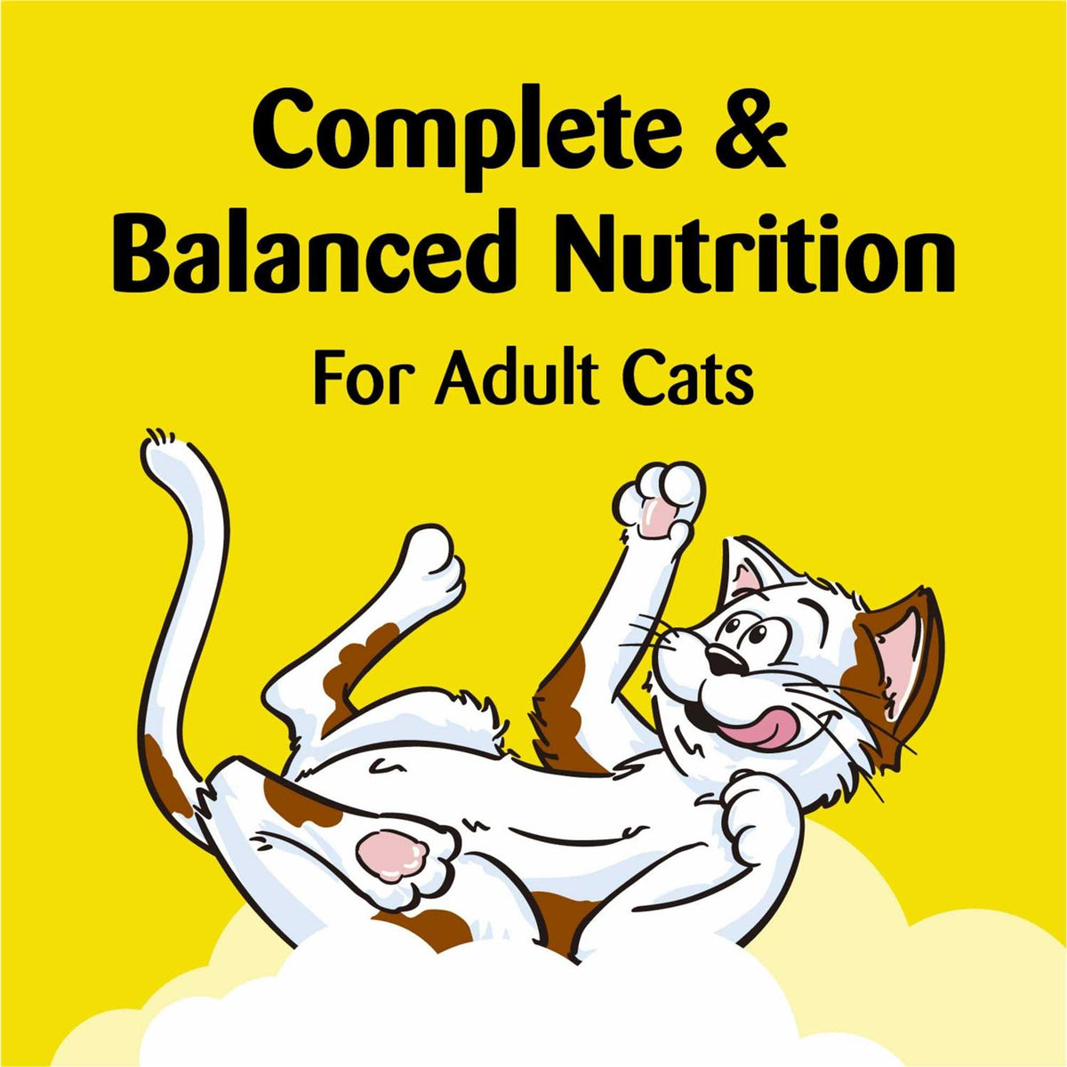 Salmon Flavor Cat Treats X2684