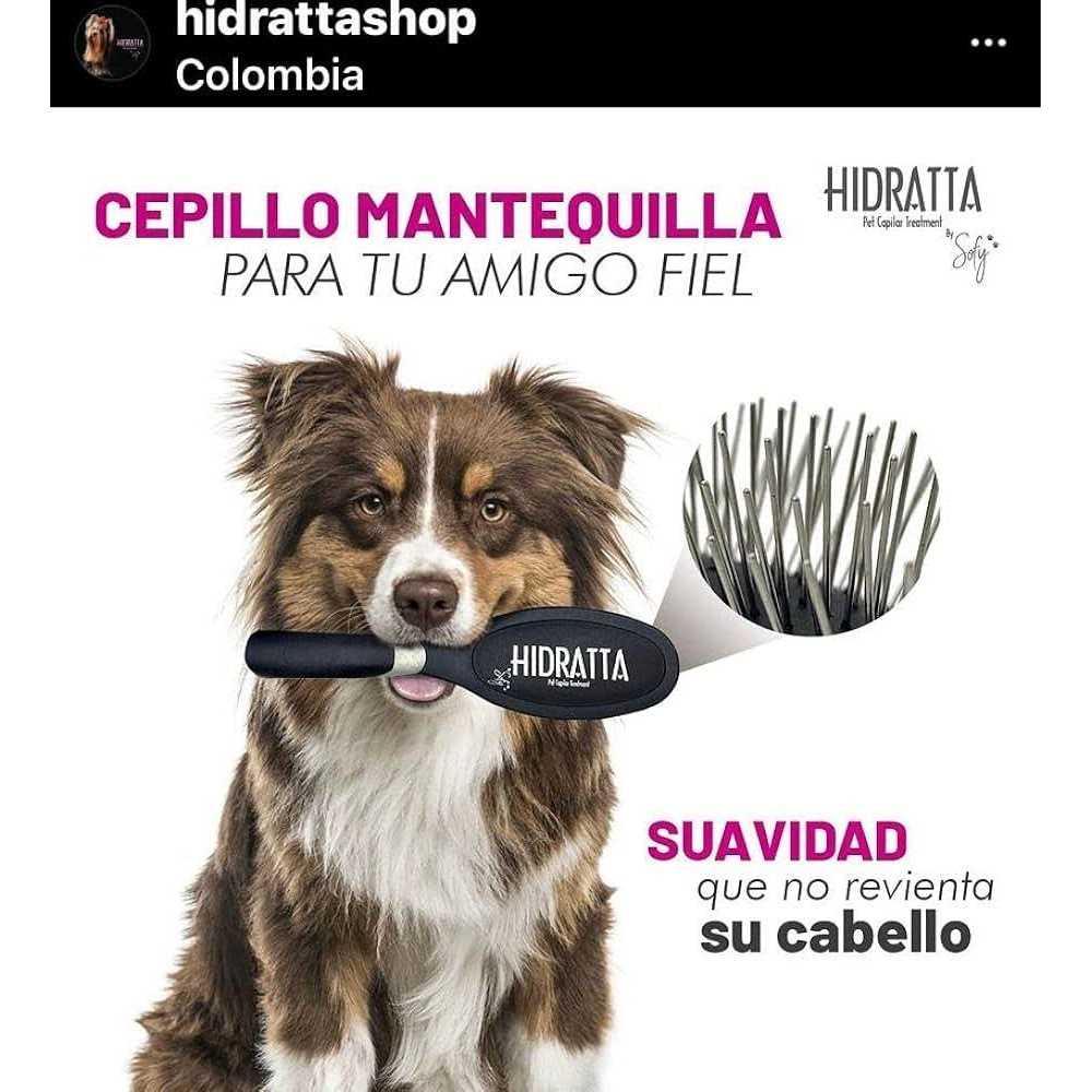Pet Hairbrush D538579